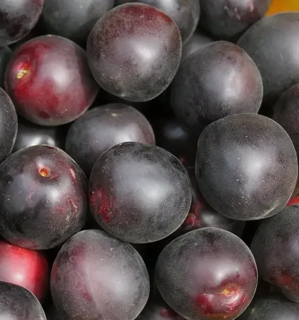 Черрикос ЗКС контейнер 7,5л, 3х летний саженец май 26