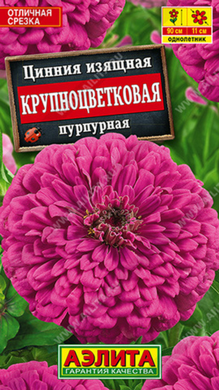 Цинния "G. Крупноцветковая пурпурная" 0.3г., Россия.