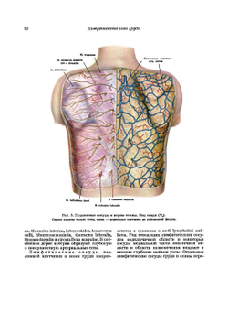 Атлас топографической анатомии человека. Том 2. Грудь, живот, таз | Ю.Л. Золотко