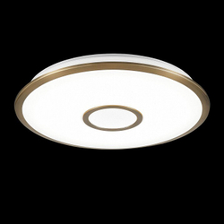 Накладной светильник Citilux CL703A63G
