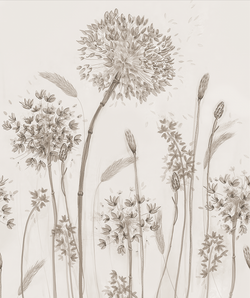 Луговые цветы