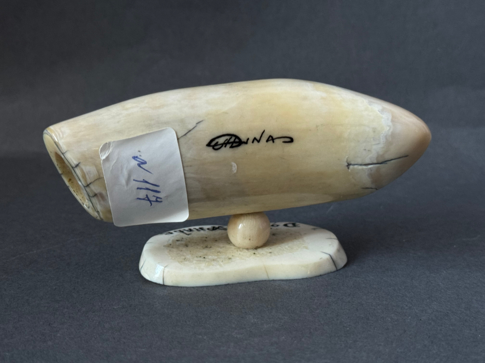 Полярный кит