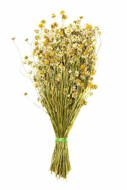 Веник для бани Ромашка Пучек