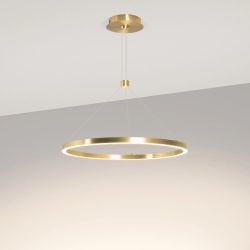 Светильник SP-CONGO-CAN-1-R600-36W Day4000 (GD, 120 deg, 230V) (Arlight, IP20 Металл, 5 лет) 046243