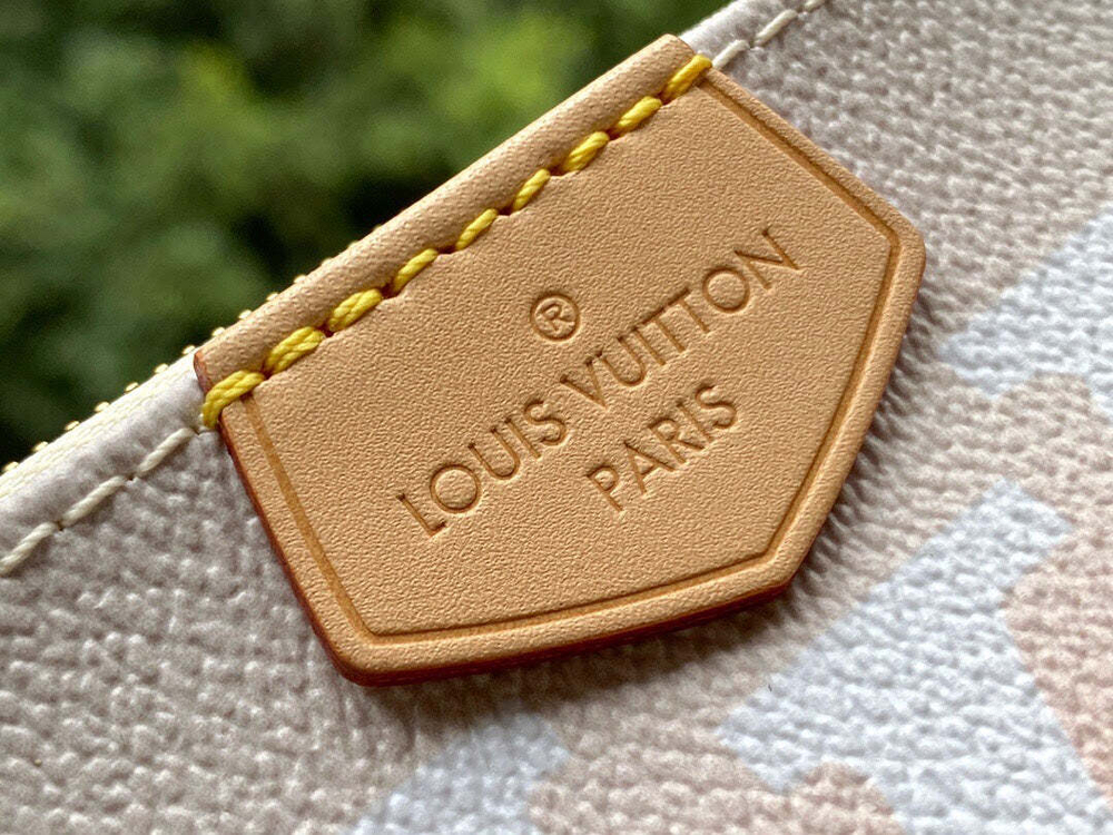 Louis Vuitton Multi Pochette