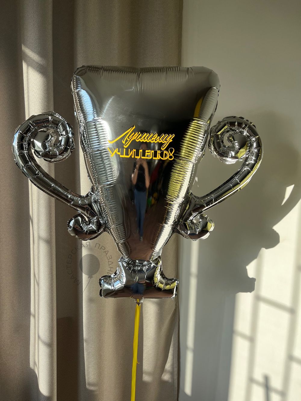 Кубок "Лучшему учителю" №8568 