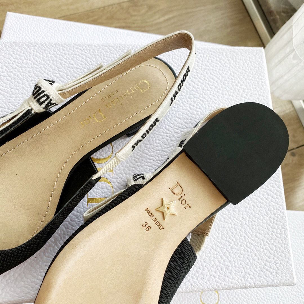 Балетки Christian Dior
