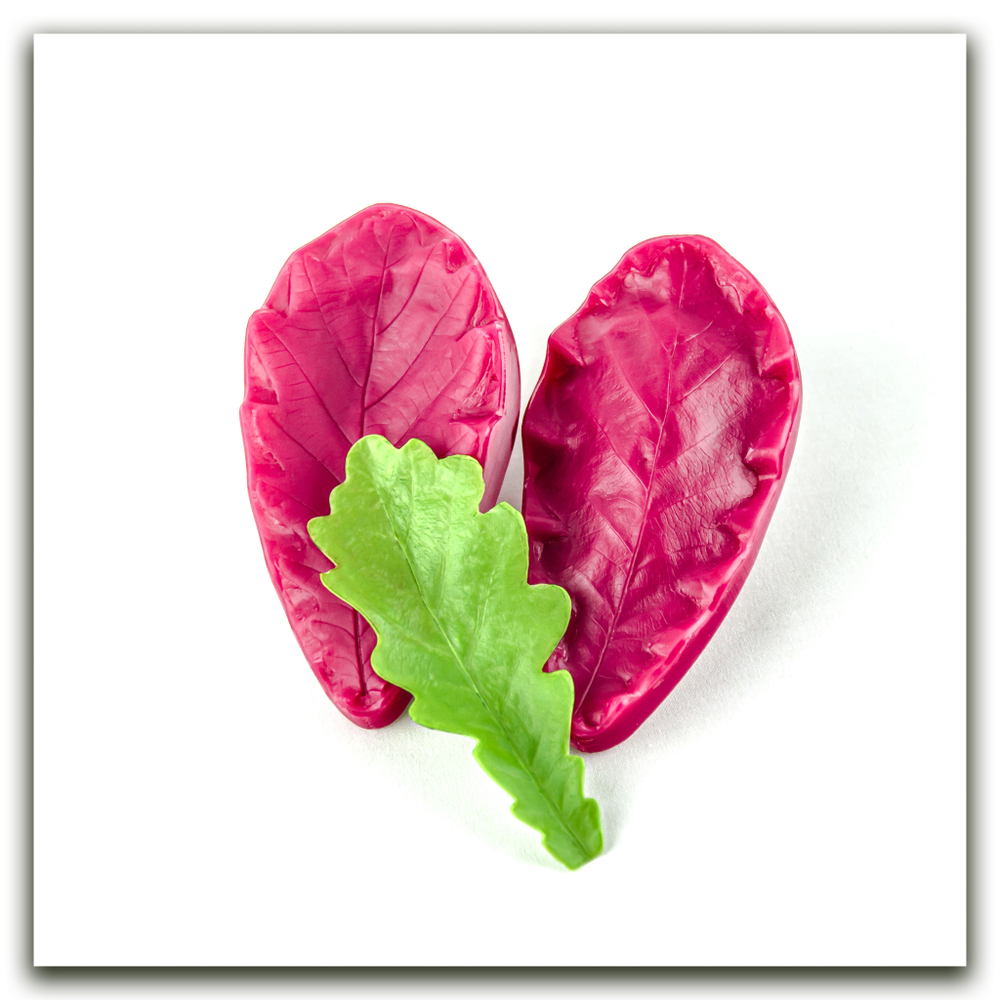 Листья дуба. Набор оптимальный