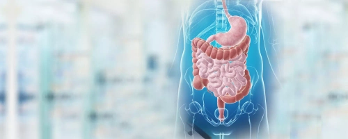 ПОЧКИ ПЕЧЕНЬ ЖЕЛЧНЫЙ ПИЩЕВАРИТЕЛЬНАЯ СИСТЕМА