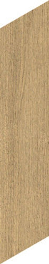 Керамогранит Norway Umber Matt + Relief (ENWD6028SR845)