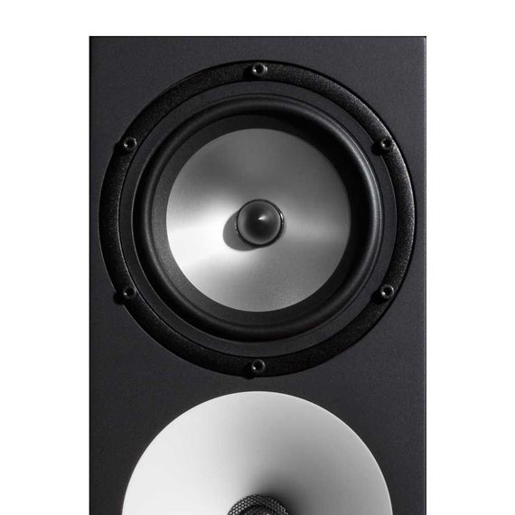 Amphion Two18 Black