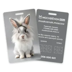 Карта Москвёнок BUNNY №3 (проход + питание)