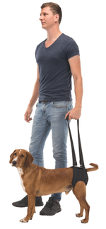 Шлейка Trixie "Walking Aid", для средних собак, регулируемая, эластичная, черная, L