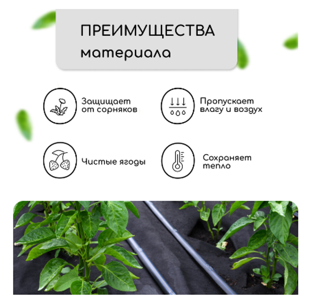 Материал мульчирующий, 5 × 1,6 м, плотность 80 г/м², спанбонд с УФ-стабилизатором, чёрный, Greengo,