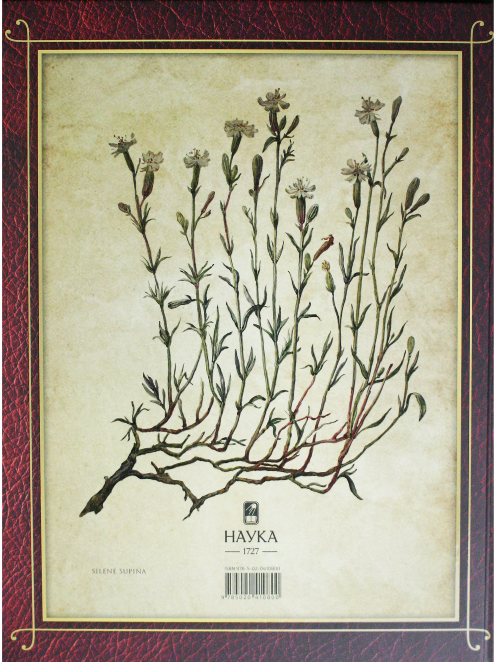 Centuria plantarum rariorum Russiae meridionalis Ф.К. Биберштейна глазами молодых исследователей "Сириуса" через 200 лет