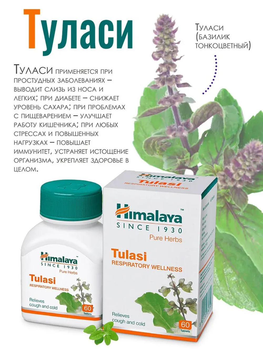 Туласи в таблетках / Tulasi Himalaya