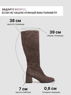 1149-501RB/Сапоги женские