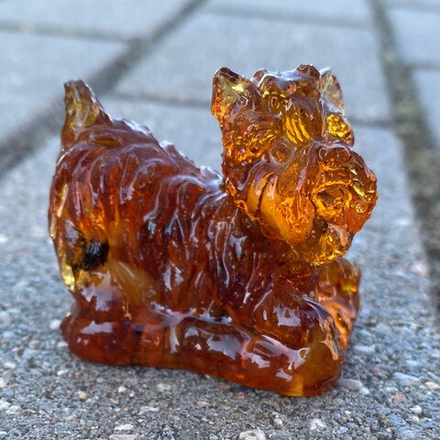 Йорк-игривый