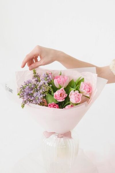 "Клубничный Фрезье мини"