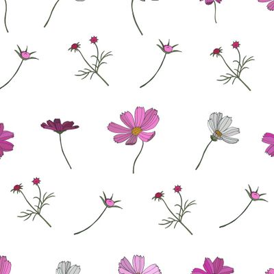 Цветы космеи. Эскизы ботанических элементов.