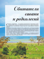 Большая книга о животных. 1001 фотография