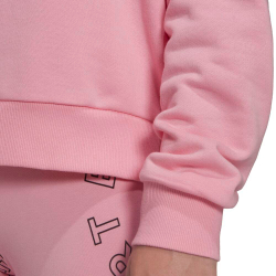 Толстовка женская ADIDAS W BLUV Q1 HD