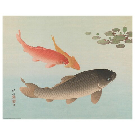 IKEA BILD  (ИКЕА БИЛД)  -  Плакат, под поверхностью, 50x40 см