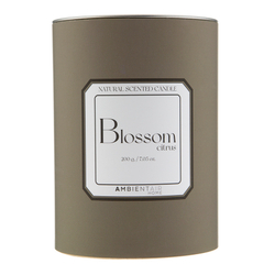 Свеча ароматическая Ambientair Sublime Цитрусовый цвет