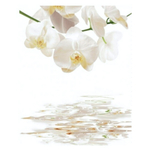 Штора для ванной комнаты Фотопринт 180*200 "ОРХИДЕЯ" с кольцами DX-130