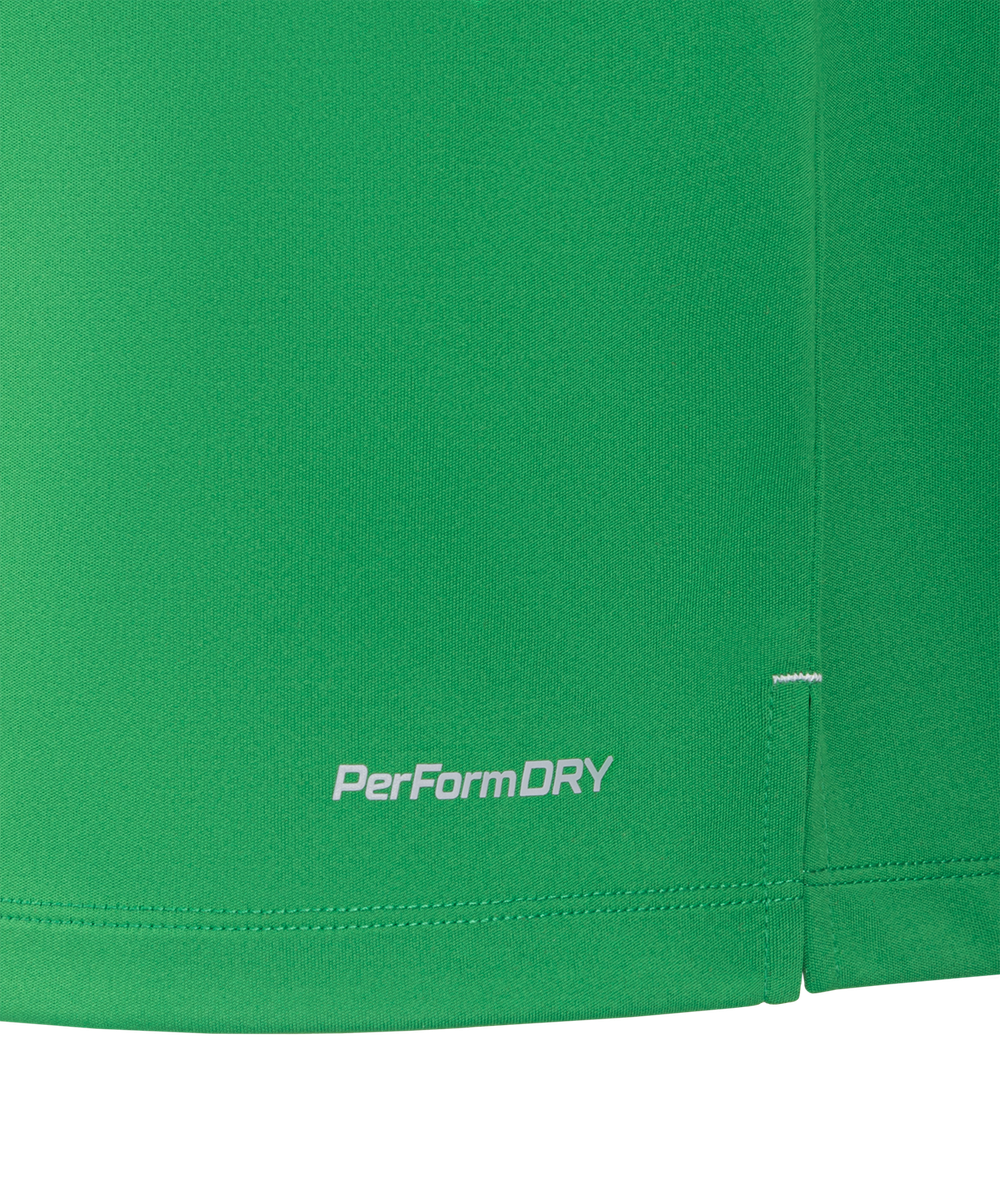 Футболка вратарская JÖGEL NATIONAL PerFormDRY GK Jersey, зеленый