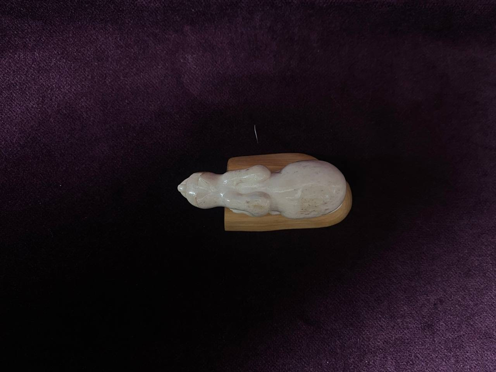 Кот