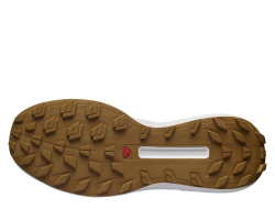 Кроссовки для бега мужские Salomon S/LAB Genesis M LTD Courtney v2 Watf Мультиколор