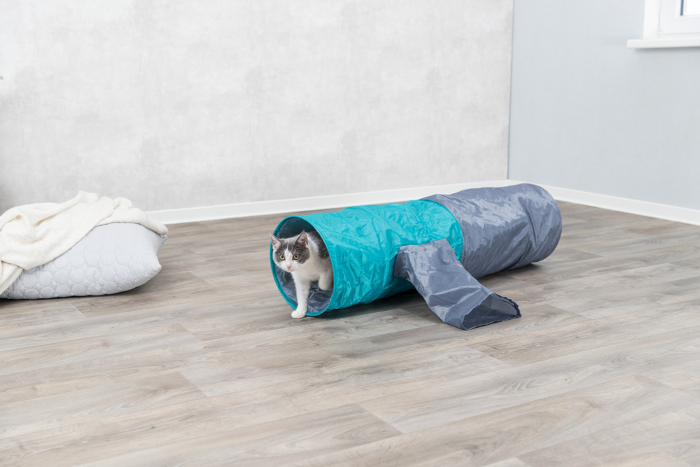 Тоннель для кошки шуршащий, 115 см, ф 30 см, Trixie