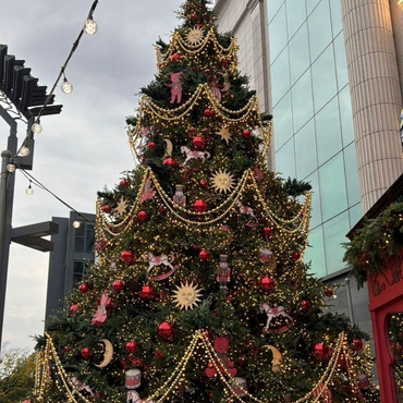 Высотные елки