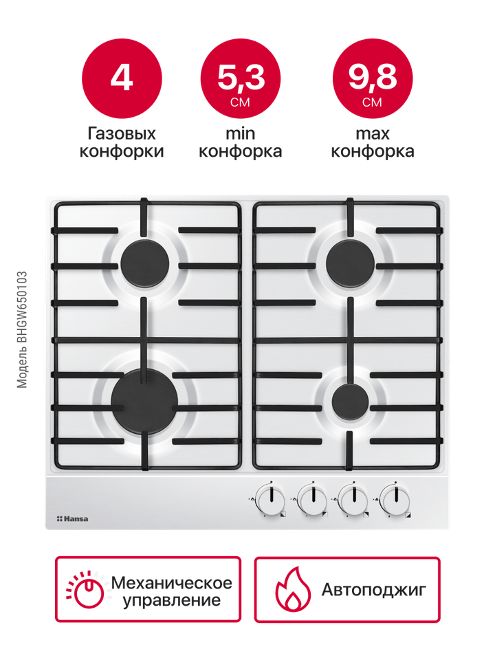 Газовая панель Hansa BHGW650103