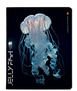 Тетрадь 48 л. БРУНО ВИСКОНТИ Медузы фентези (7-48-1331)