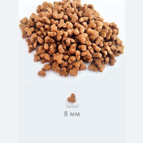 Уценка! Повр.упак. / Сухой корм Glance для кошек с говядиной