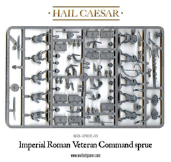 Imperial Roman Veterans/Ветераны императорской Римской империи/102011001