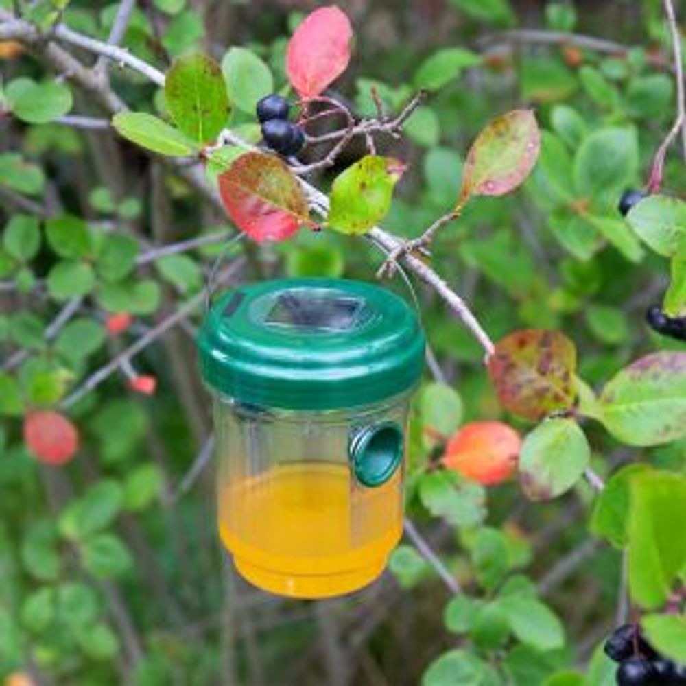 Ловушка для ос R 30м, на солнечной батарее REXANT