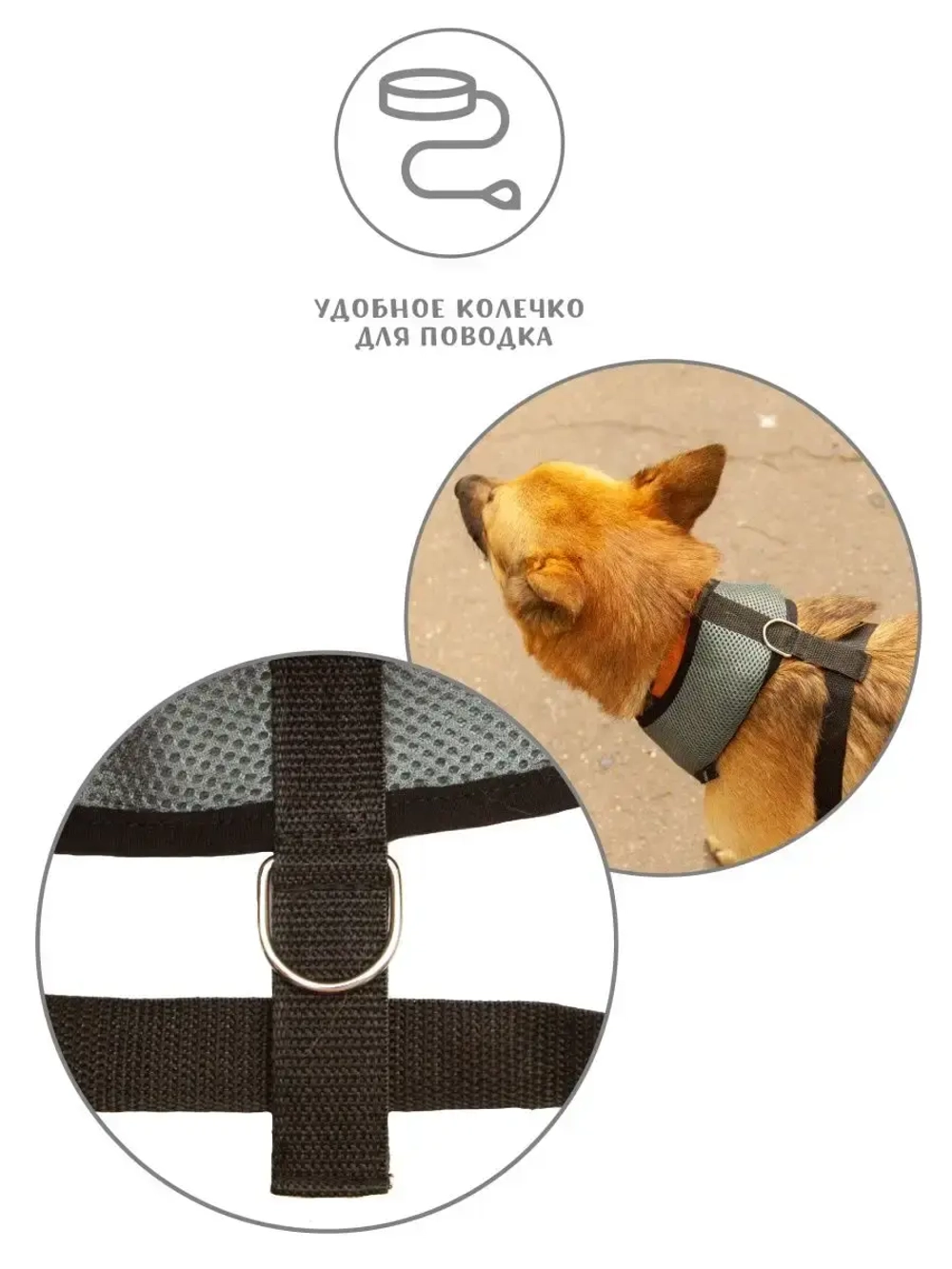 Жилет шлейка для собак и кошек прогулочная