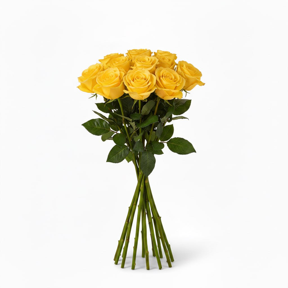 Розы "Эквадор" желтые