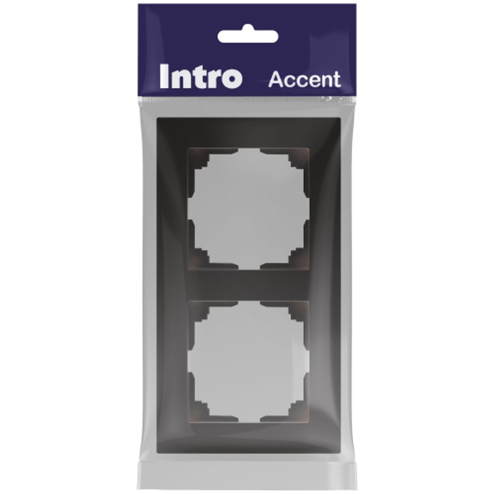 Рамка для розеток и выключателей Intro Accent 6-502-05 на 2 поста, СУ, антрацит