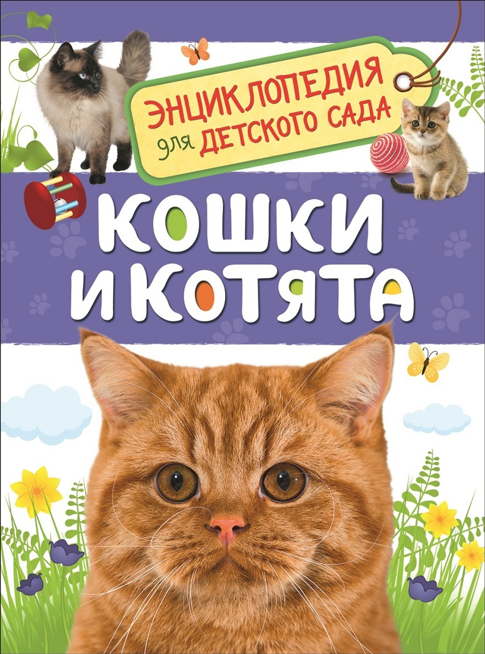 Кошки и котята
