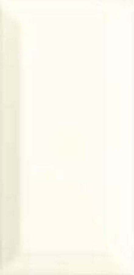 Adex Neri Biselado PB Biscuit 10x20