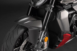 96982251AA DUCATI FRONT CARBON MUDGUARD (XDVL V4)