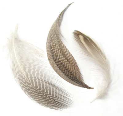 WAPSI Смеcь перьев чирка, шилохвостя и серой утки Prime Mixed Flank Gadwall Pintail & Teal