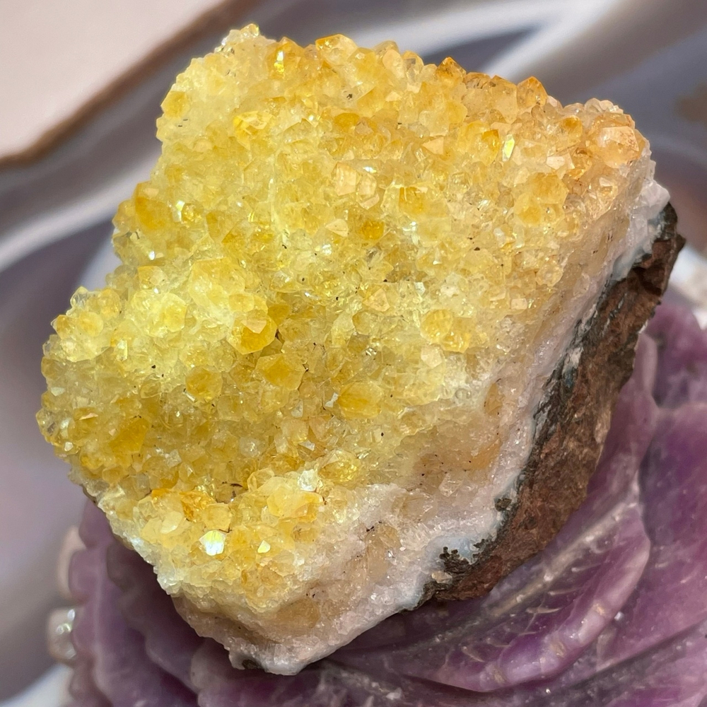 41684 Цитрин друза кристалл 69мм