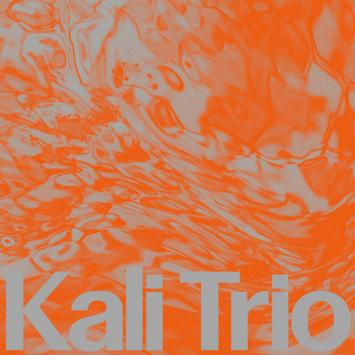 Kali Trio - Playful Abstract