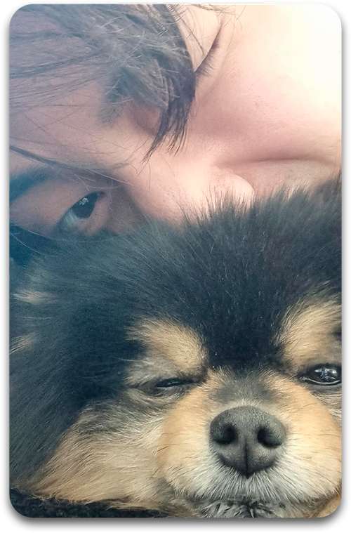 Карта / BTS #0766