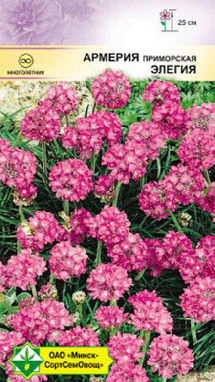 Армерия приморская "Элегия" 0.1г., Германия.